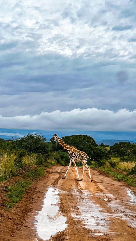 Lake Mburo National Park 