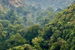 Queen Elizabeth National Park