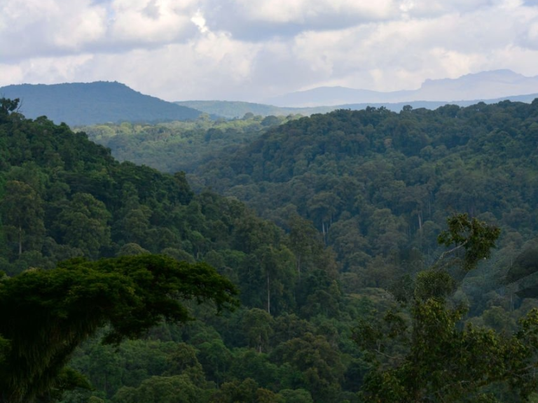 Mount Elgon National Park