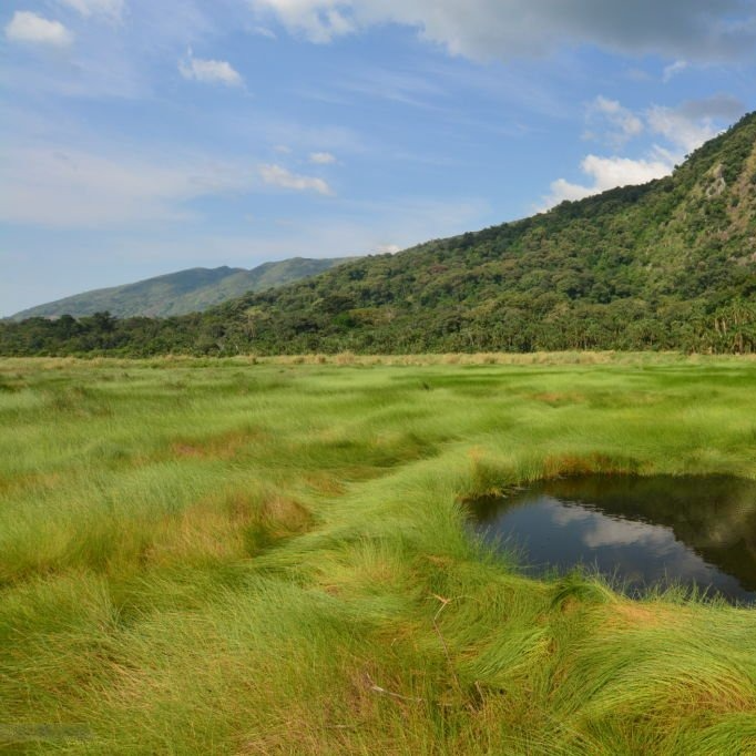 Semliki National Park