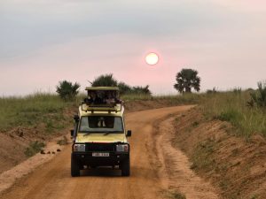 Game drives in Uganda