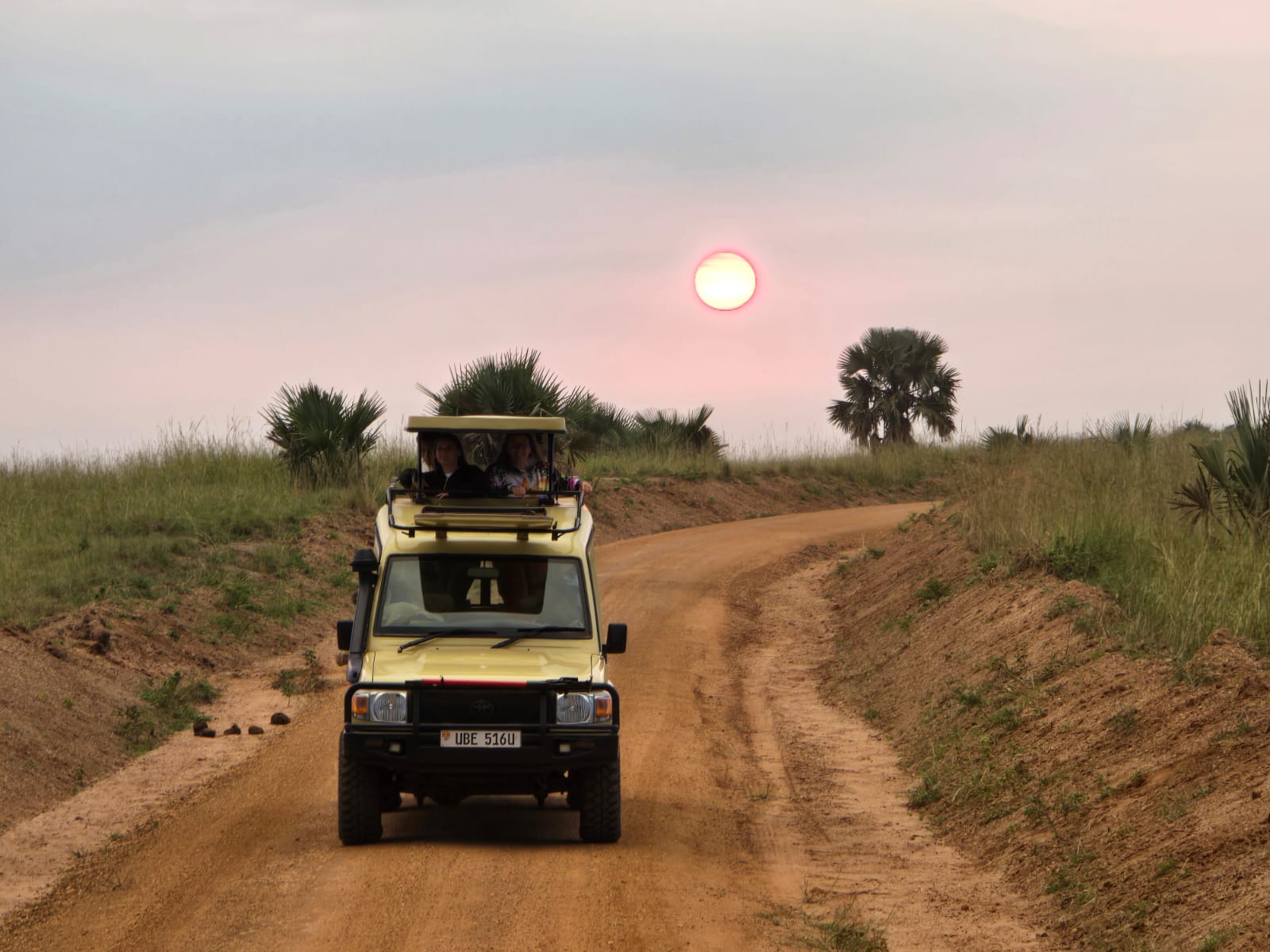 Game drives in Uganda
